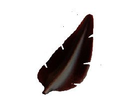 Plume en chocolat noir mini colis (0,5Gx400) La Rose Noire | Grossiste alimentaire | Multifood