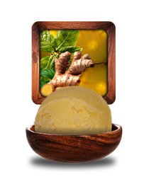 Sorbet ananas menthe gingembre pièce unitaire 2,5L Glace des Alpes | Grossiste alimentaire | Multifood