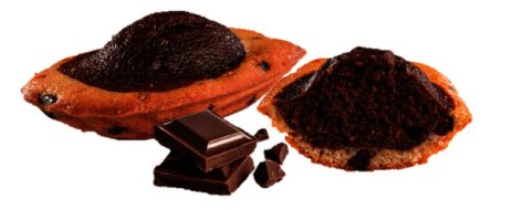 Madeleine marbrée chocolat colis (45Gx70) St Michel | Multifood